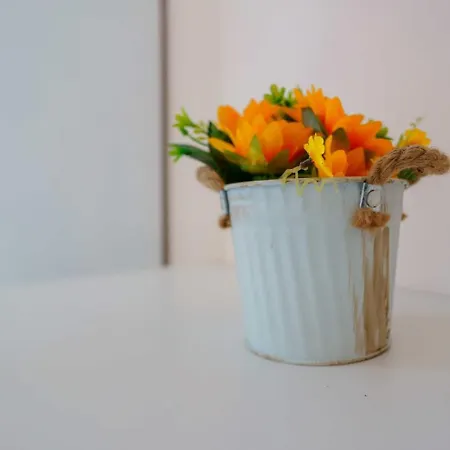 Daniela 3* ليبورانو