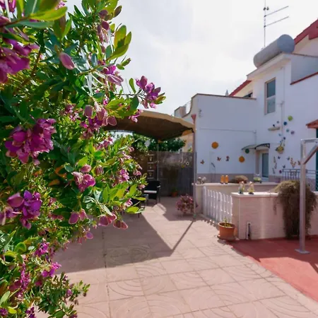 Daniela Bed & Breakfast